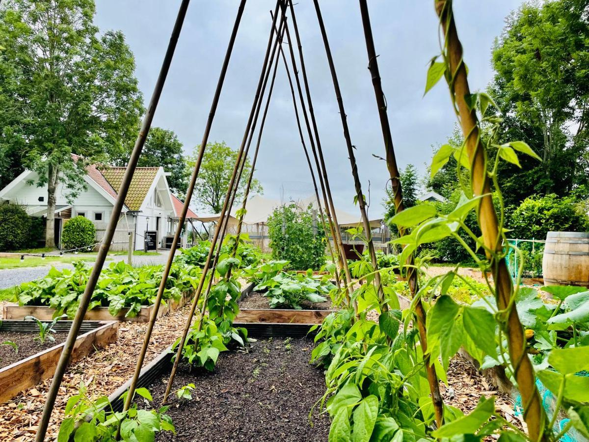 Boomhuis Met Optioneel Wellness - Vakantiepark De Schreiershoek Villa Dokkum Exteriör bild