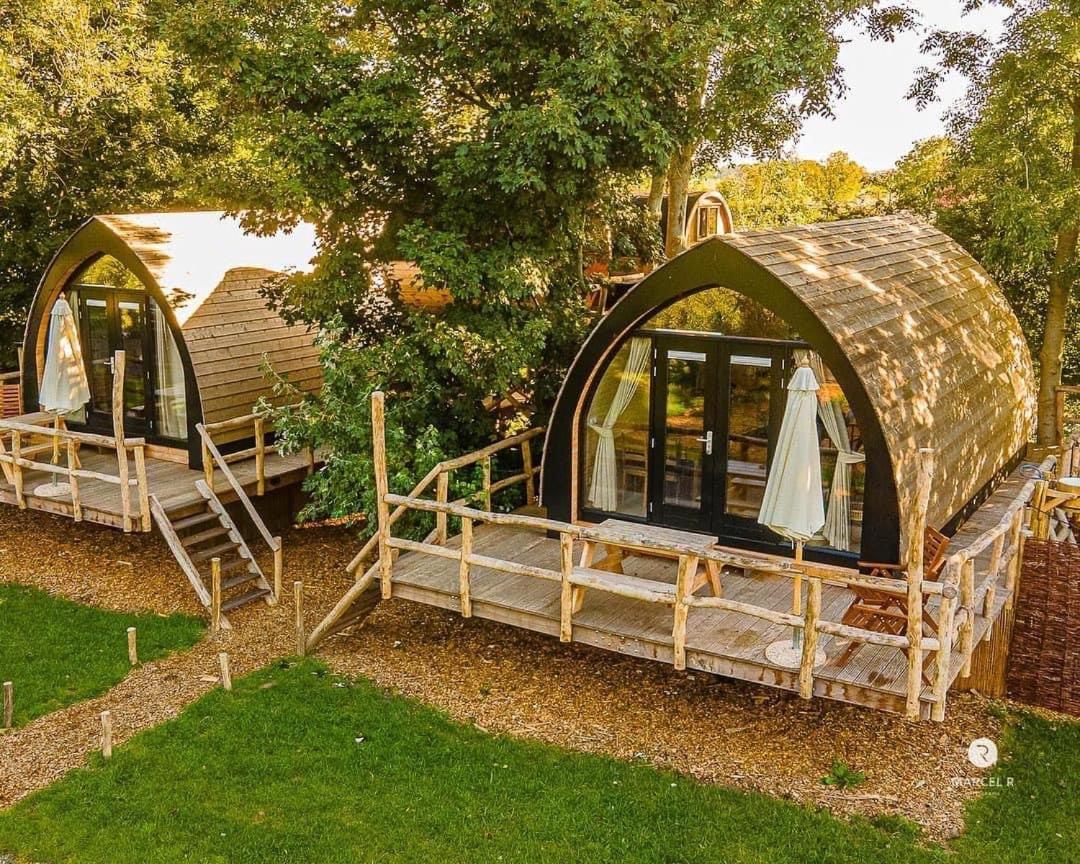 Boomhuis Met Optioneel Wellness - Vakantiepark De Schreiershoek Dokkum Exteriör bild