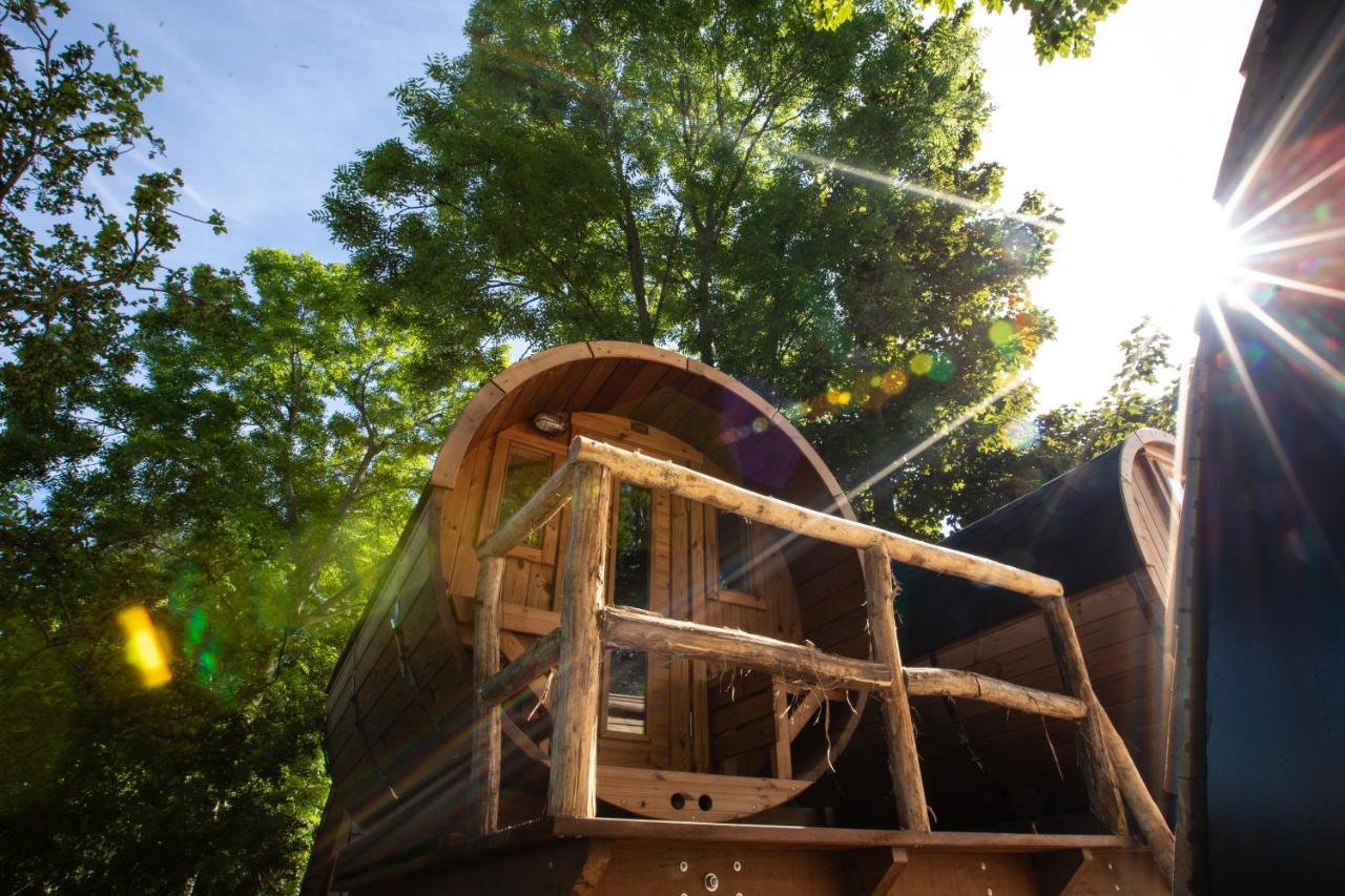 Boomhuis Met Optioneel Wellness - Vakantiepark De Schreiershoek Dokkum Exteriör bild