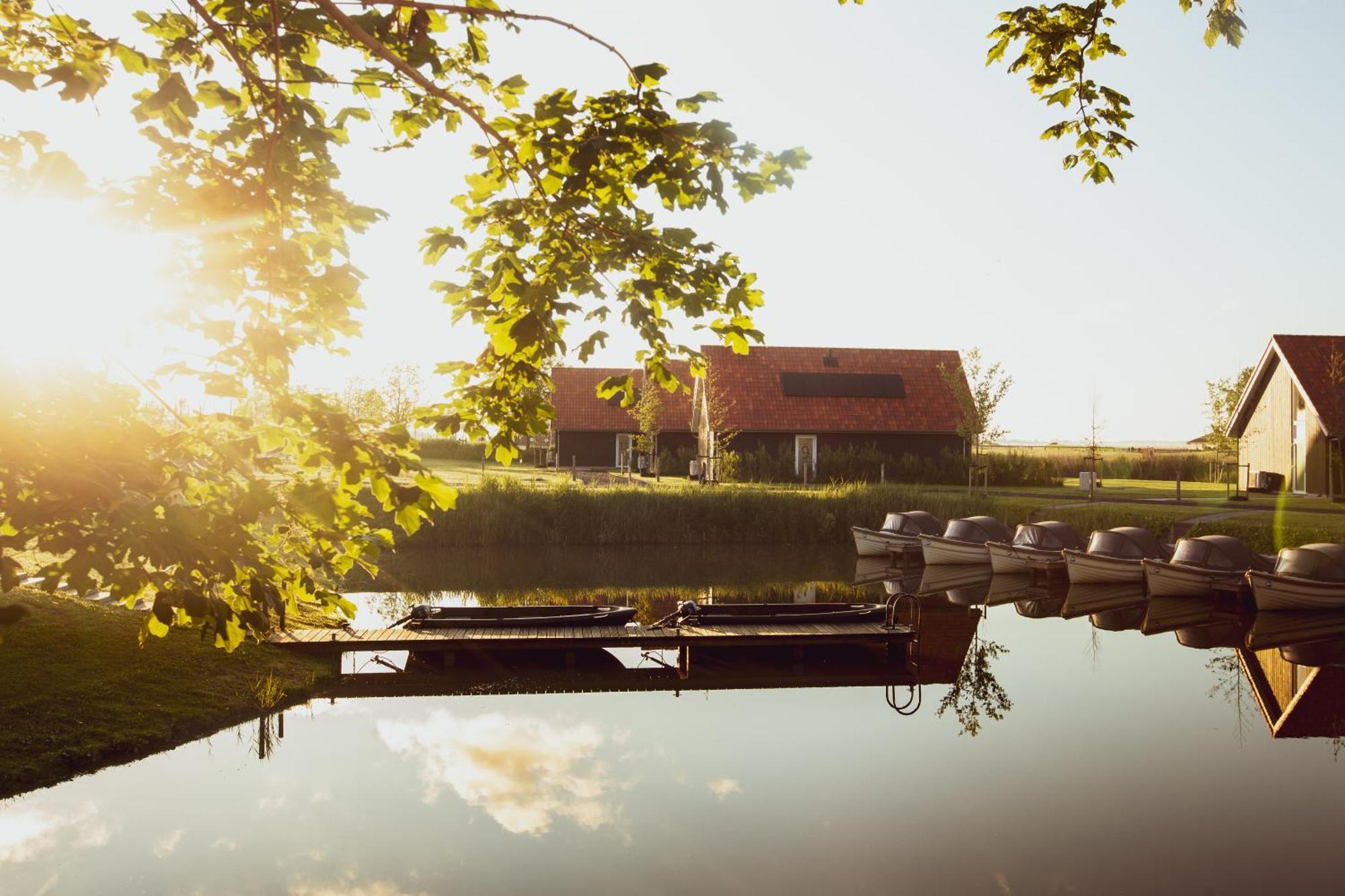 Boomhuis Met Optioneel Wellness - Vakantiepark De Schreiershoek Dokkum Exteriör bild