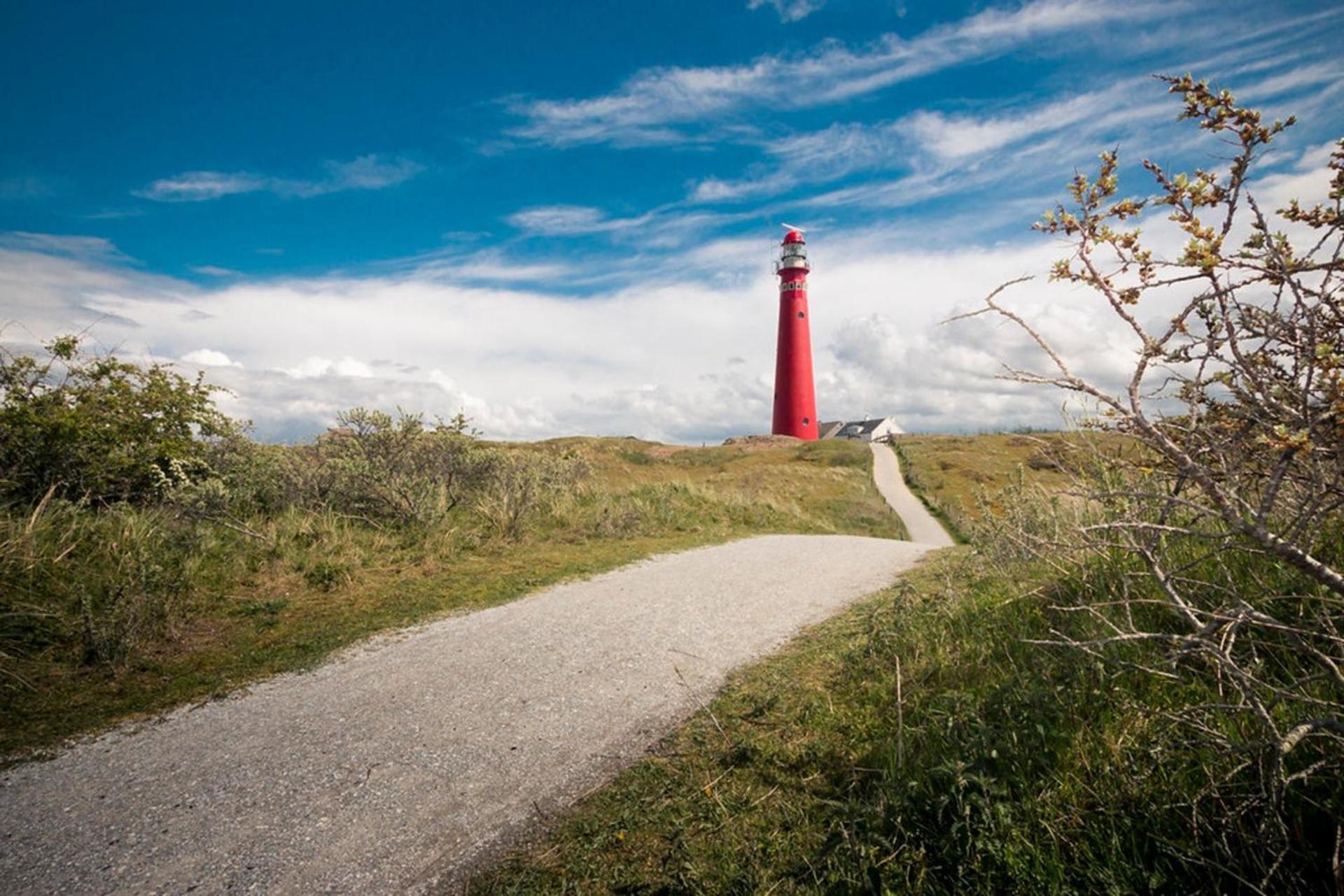 Boomhuis Met Optioneel Wellness - Vakantiepark De Schreiershoek Dokkum Exteriör bild