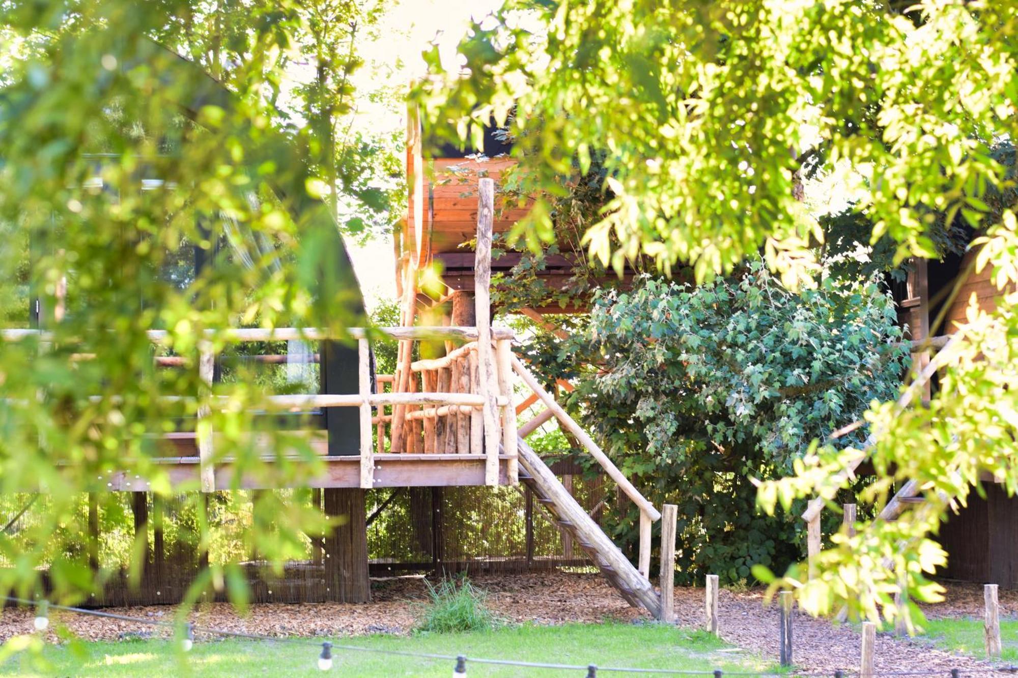 Boomhuis Met Optioneel Wellness - Vakantiepark De Schreiershoek Dokkum Exteriör bild