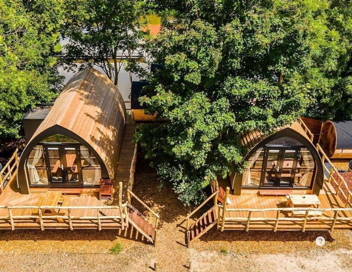 Boomhuis Met Optioneel Wellness - Vakantiepark De Schreiershoek Dokkum Exteriör bild