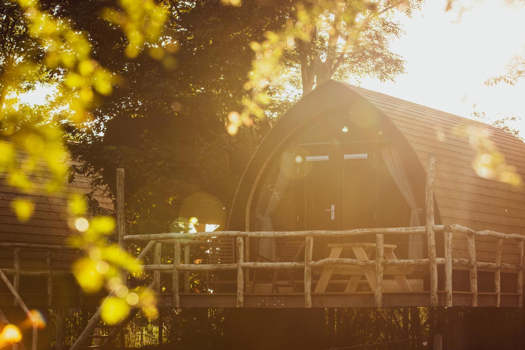 Boomhuis Met Optioneel Wellness - Vakantiepark De Schreiershoek Dokkum Exteriör bild
