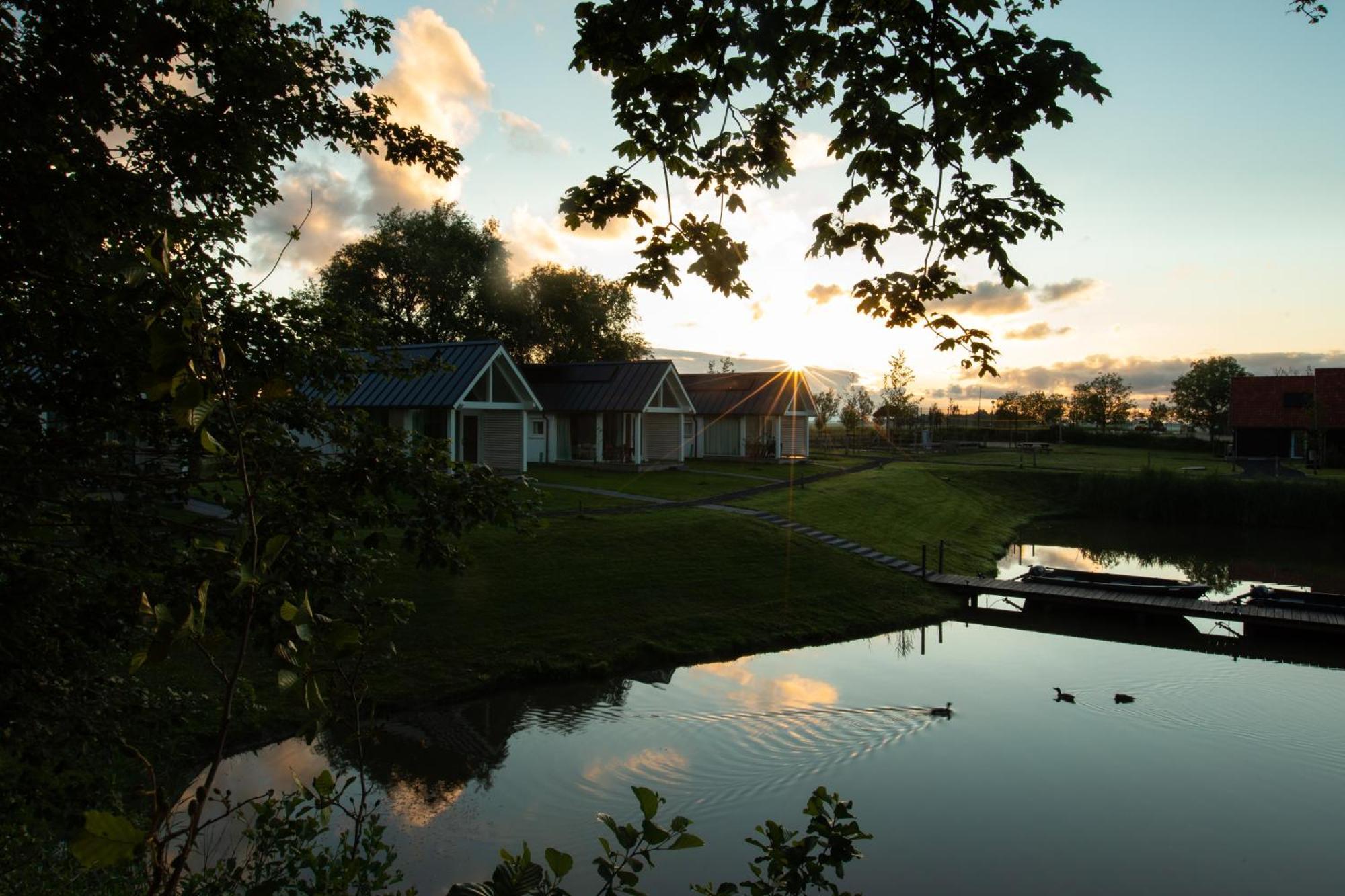 Boomhuis Met Optioneel Wellness - Vakantiepark De Schreiershoek Dokkum Exteriör bild